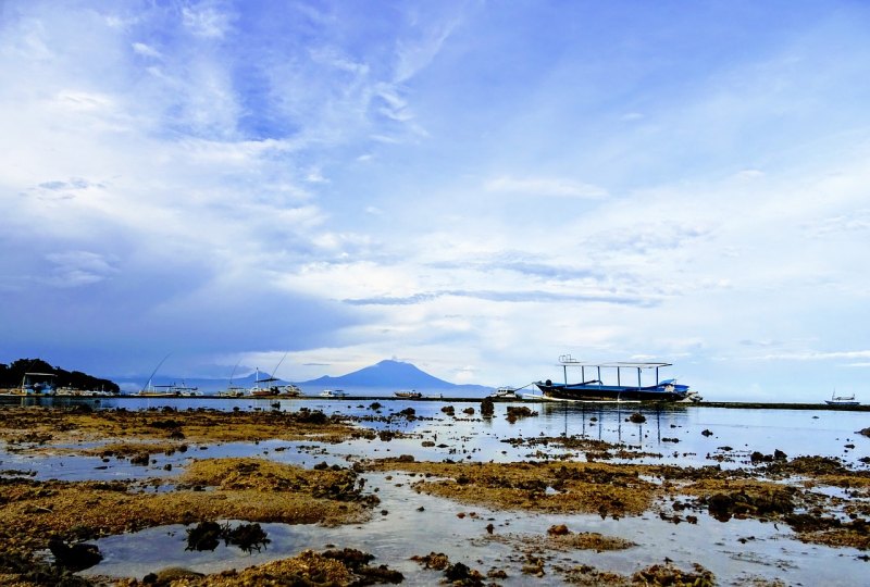 山东东营市旅游路线 东营 旅游