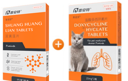 猫咪打喷嚏怎么办，猫打喷嚏怎么办