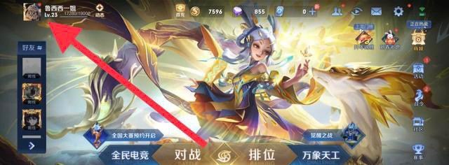 王者荣耀怎么设置性别，王者荣耀改性别