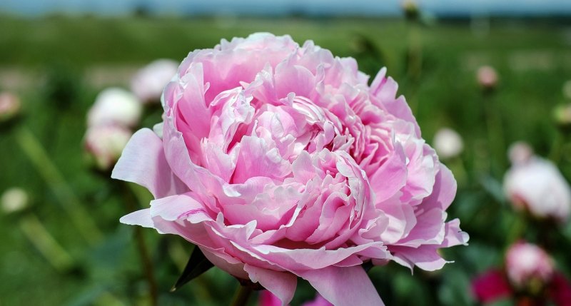 在家没钱花怎么办 没钱花怎么办