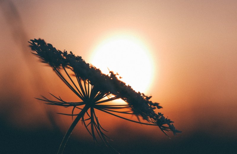 描绘夕阳黄昏的优美句子，描写夕阳的唯美句子