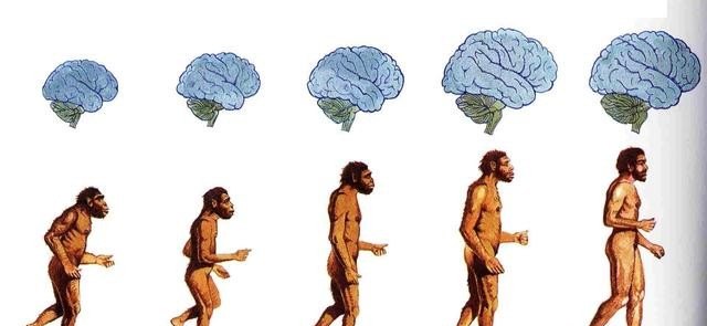 人类最早起源于哪里？为什么总有人说我们的祖先是从非洲来的，世界历史上的人族