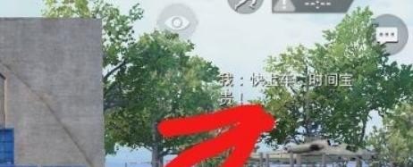 和平精英游戏中怎么和队友通话，和平精英跪吻