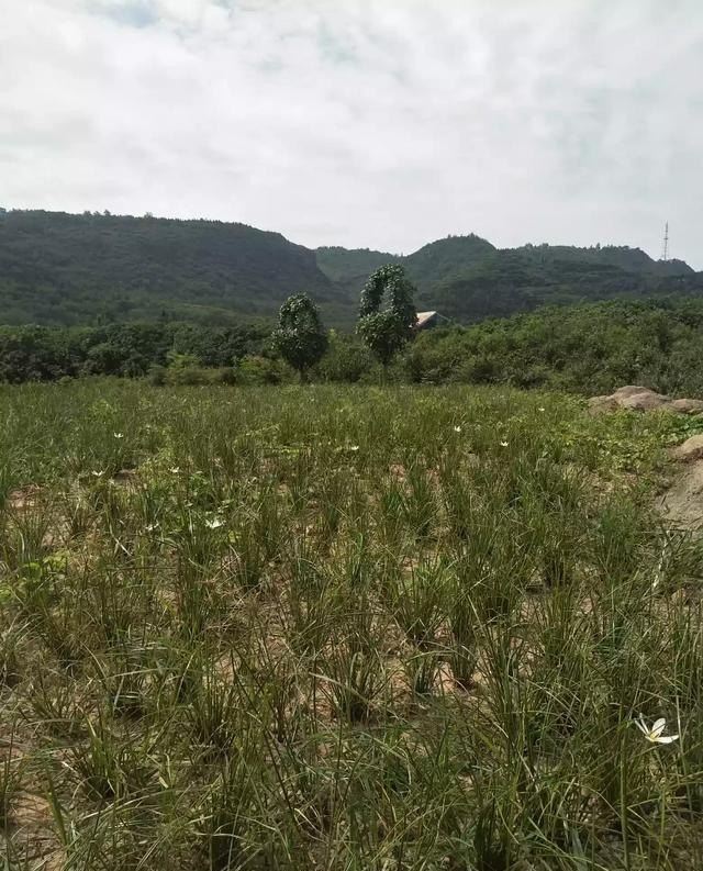 哈尔滨周边农家乐住宿推荐，旅游农家乐