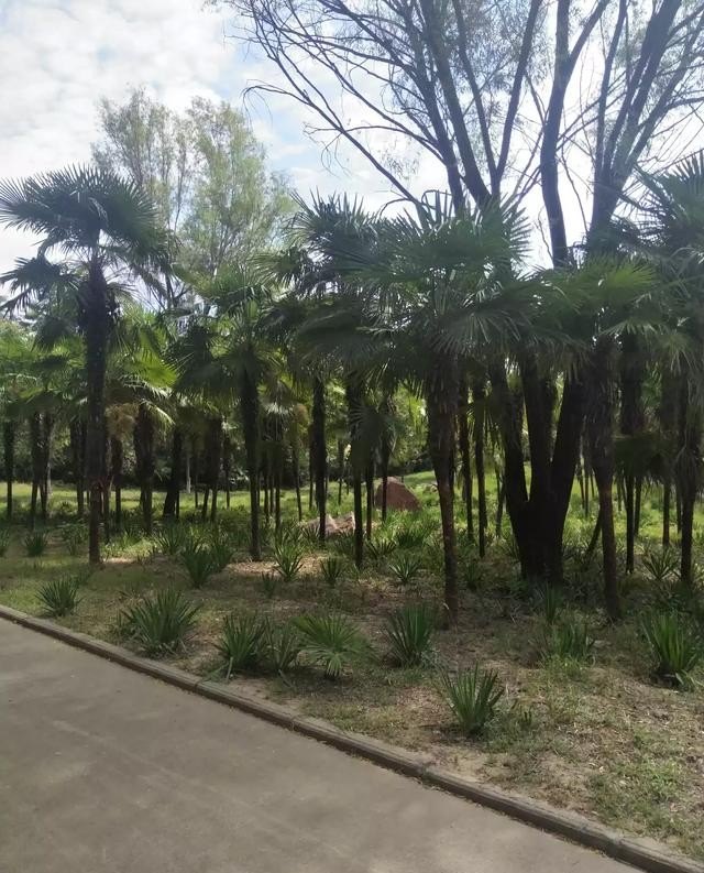 哈尔滨周边农家乐住宿推荐，旅游农家乐