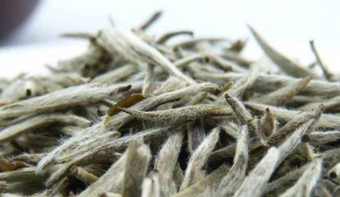 小叶菜茶是什么茶，汕尾哪里有奶茶店加盟