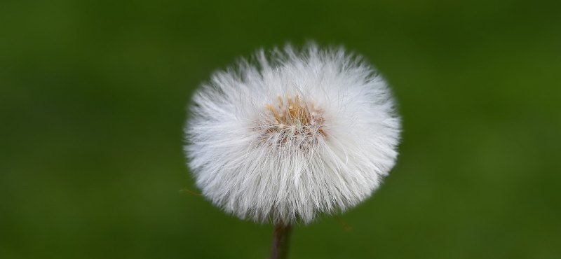 凸显时光易逝人生短苦的句子诗句，感悟人生的经典句子带有忧伤