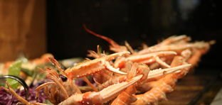 广州环境好的饭店酒楼，适合两个人约会的。自助餐也可以，荔湾口大排档美食加盟