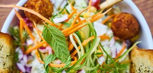 东湖梨园要门票吗，6月9日东湖梨园美食加盟