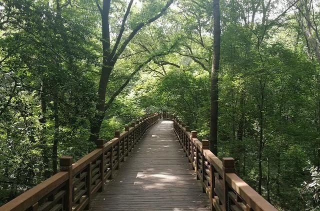 出去旅游要带什么必备品，旅游必备药品