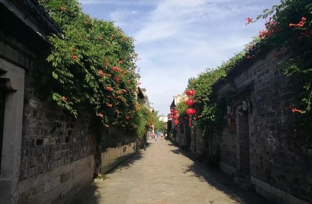 出去旅游要带什么必备品，旅游必备药品