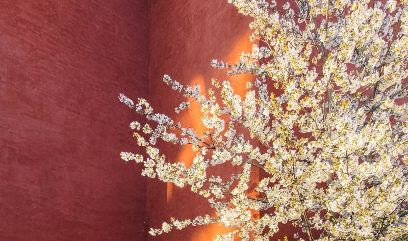 祝福朋友孩子高考吉利话 祝福朋友孩子高考的句子