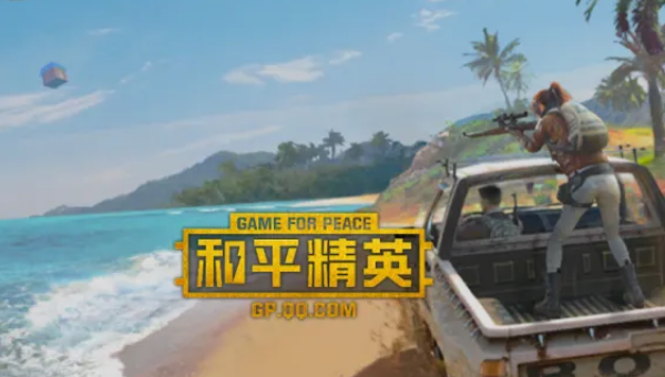 和平精英一休原名叫什么，和平精英公司游戏