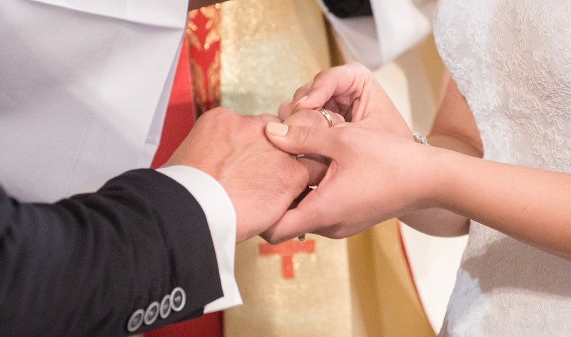 pussy什么意思 出英语怎么说