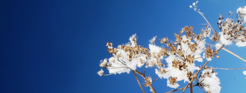 冬天说说暖心句子，冬季暖心简短句子