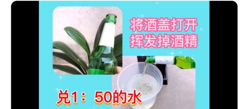 国产车每年销量总数,22年国产车销量排行榜