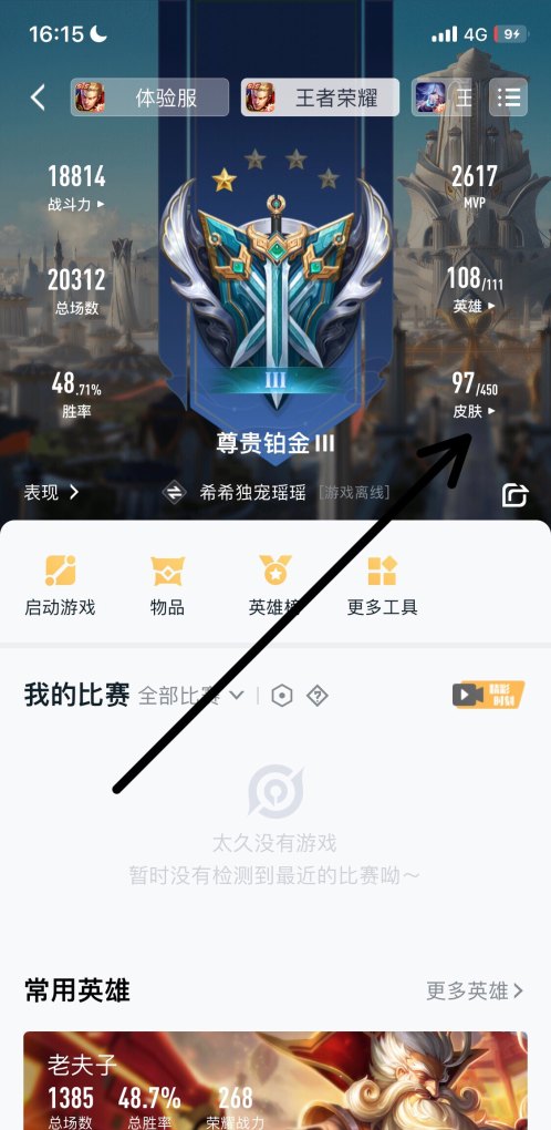 王者皮肤列表怎么查，王者荣耀皮肤查询