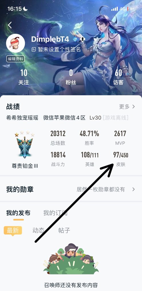 王者皮肤列表怎么查，王者荣耀皮肤查询