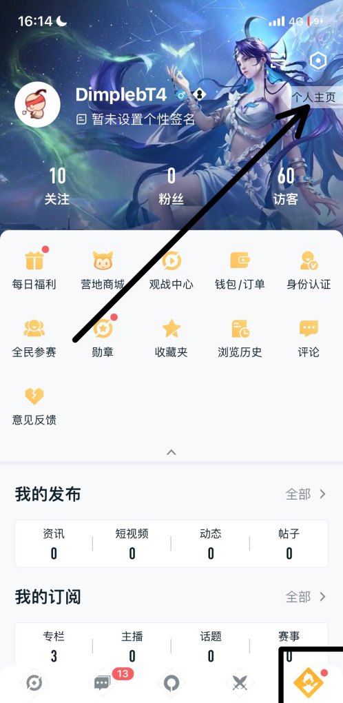 王者皮肤列表怎么查，王者荣耀皮肤查询
