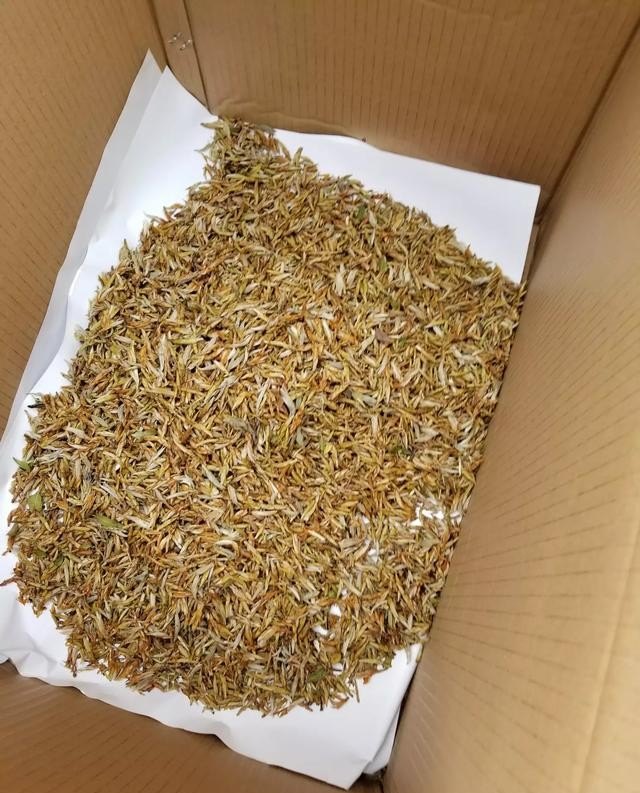 达州乡村旅游景点，达州绿茶加盟店排行榜最新