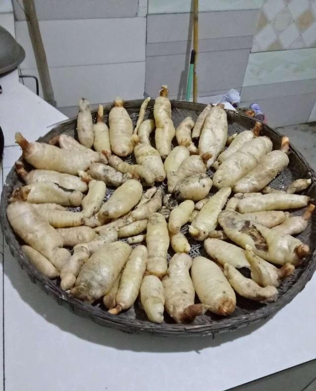 达州乡村旅游景点，达州绿茶加盟店排行榜最新