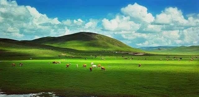 现代旅游的特点是什么,旅游资源的特点有哪些