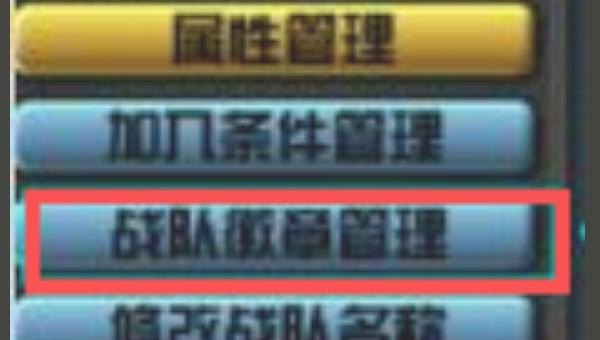 cf战队徽章怎么设置，穿越火线战队徽章怎么设置