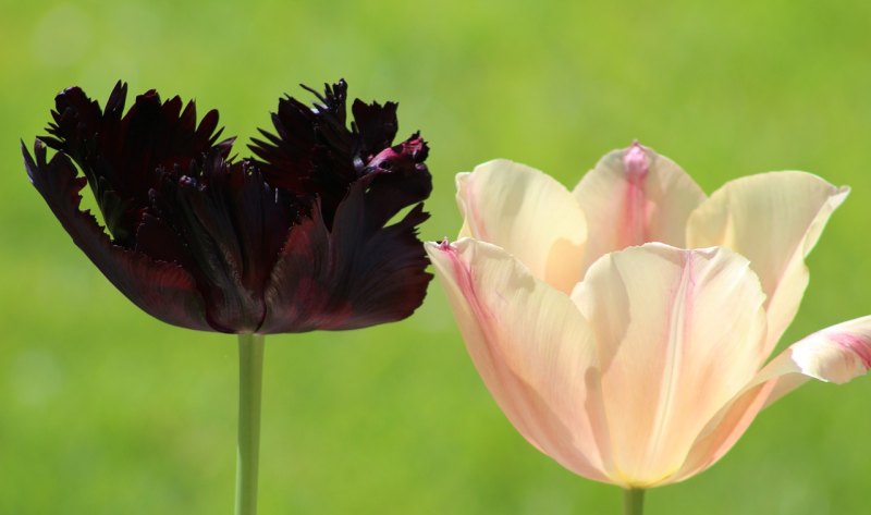 中秋节圆满祝福 中秋节祝福发朋友的句子
