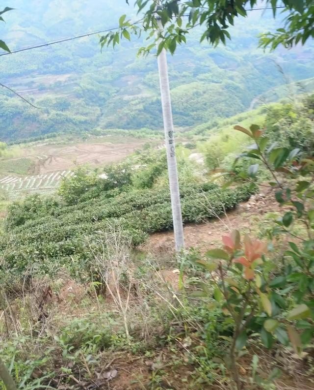 简述湖北省举办荆楚乡村文化旅游节的意义,乡村文化旅游