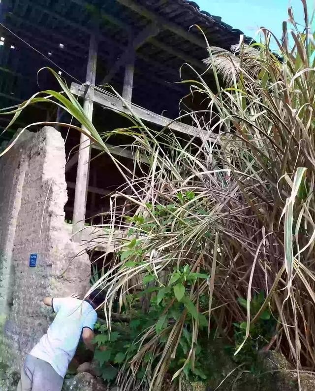 简述湖北省举办荆楚乡村文化旅游节的意义,乡村文化旅游