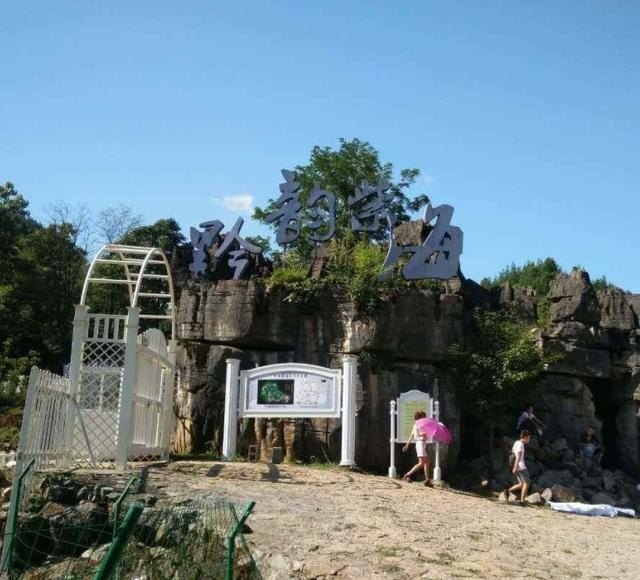 乡村旅游将会带动乡村振兴吗，乡村振兴旅游