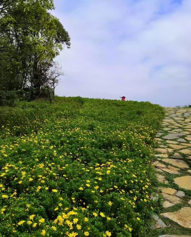 外出旅游买相机好还是无人机好 旅游相机推荐