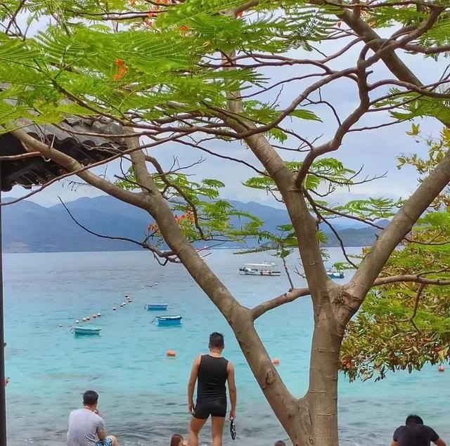 外出旅游买相机好还是无人机好，旅游相机推荐