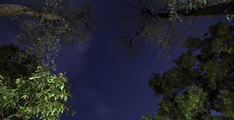 光遇拾光季地图怎么变夜晚，光遇天怎么黑