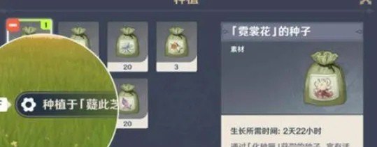原神怎么种植植物，原神种菜攻略