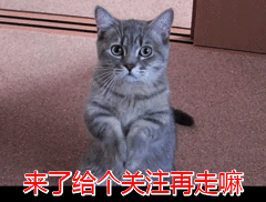 咋样快速学习英语_如何简单快速学好英语
