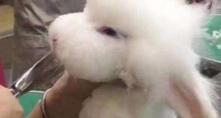 眼睛病毒感染怎么办，眼睛感染怎么办