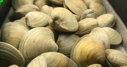 武汉哪里吃螃蟹好点_万松园美食推荐生蚝店加盟