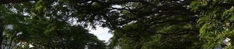 宜兴竹海农家乐那家环境比较好_天山镇旅游景点推荐