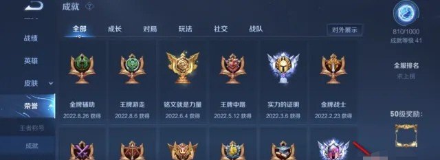 狄仁杰鹰眼护卫队信誉等级几星，王者荣耀狄仁杰头像