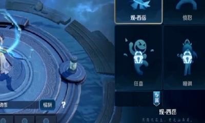 王者荣耀动作在哪里设置，王者荣耀怎么设置动作