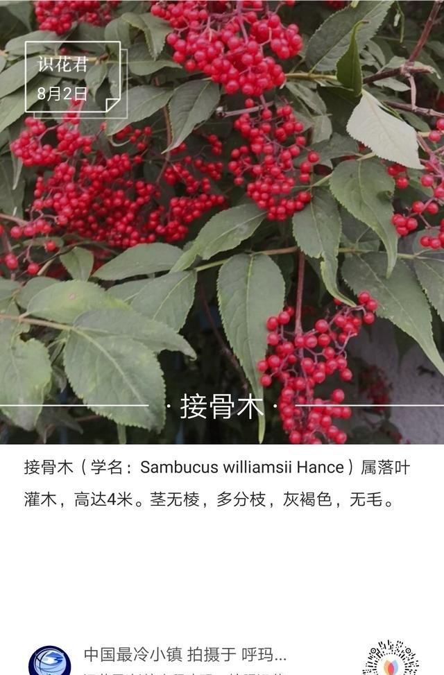 义乌高铁站附近有什么好吃的,北京火车站附近美食推荐店有哪些呢