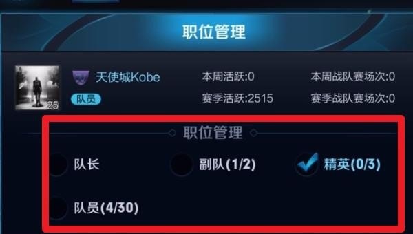 《王者荣耀》战队职位调整,王者荣耀战队职位