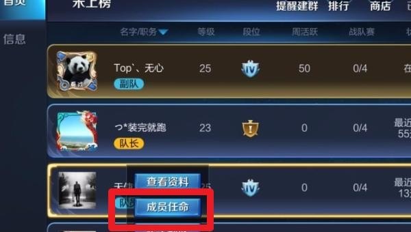 《王者荣耀》战队职位调整,王者荣耀战队职位