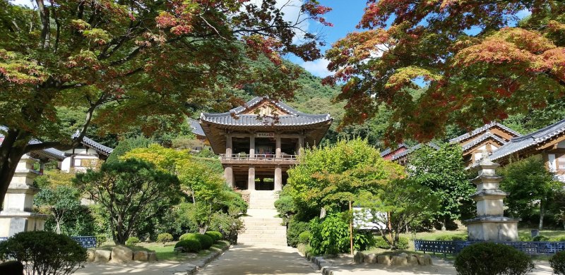 郑州旅游职业学院豫英校区有什么专业,郑州旅游职业