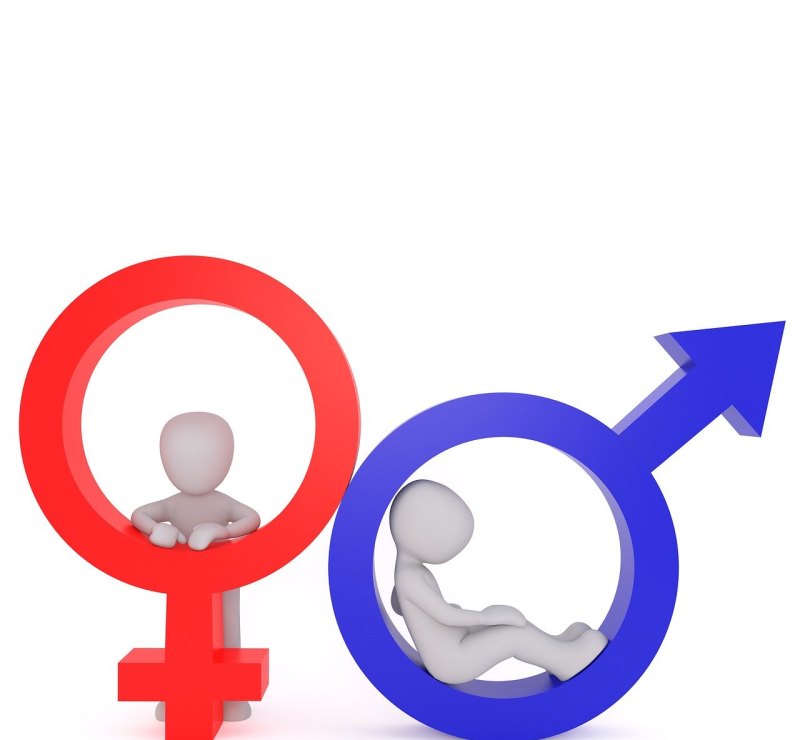 快乐后面加哪个的_人教版英语和开心版英语区别