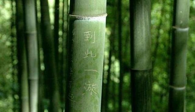 有危险是什么意思,旅游垃圾