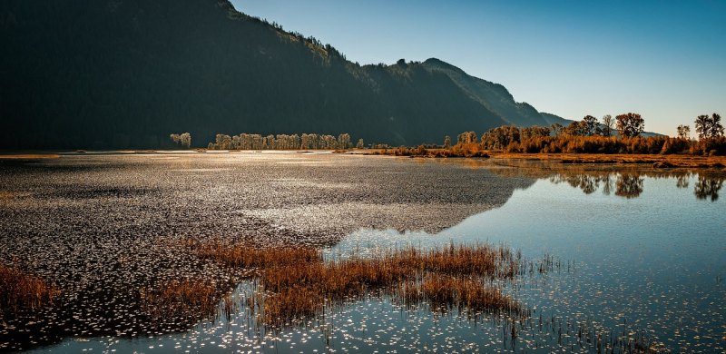 去千户苗寨住哪里比较好_千户苗寨游玩最佳路线