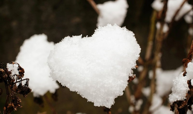 三月桃花雪爱情诗_满地桃花正艳的七言绝句