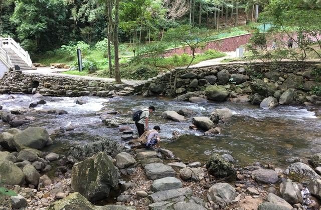广州哪里适合一个人旅行、放松散心的,广州长隆附近美食推荐大排档店铺有哪些
